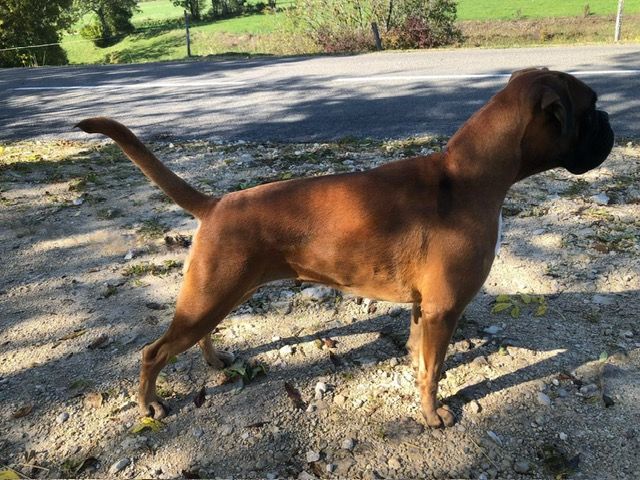 CH. Ugni Du Bois D'Esperanto